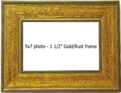 Holds 5X7 photo in GOLD/RUST frame