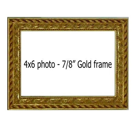 Holds 4X6 photo in GOLD frame