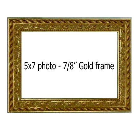 Holds 5X7 photo in GOLD frame