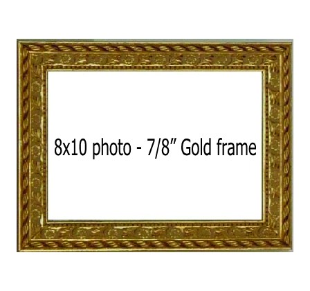Holds 8x10 photo in GOLD frame
