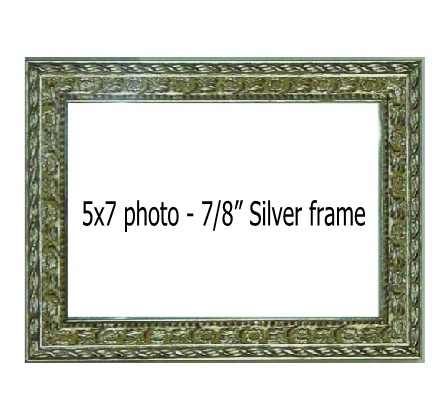 Holds 5X7 photo in SILVER frame