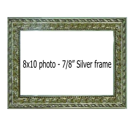 Holds 8x10 photo in SILVER frame