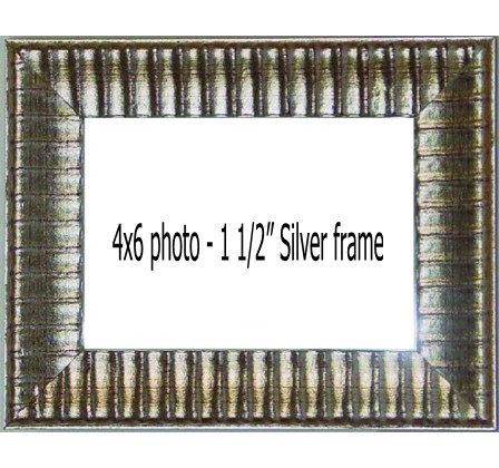 Holds 4x6 photos in SILVER frame