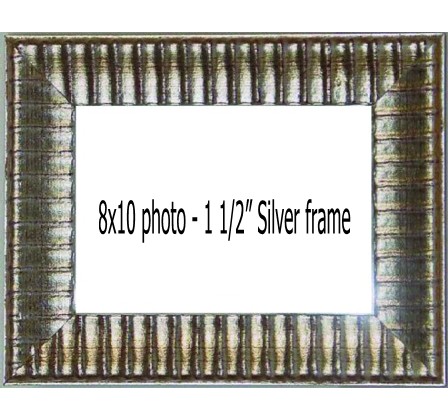 Holds 8x10 photos in SILVER frame