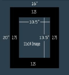 24 Pk Economy Black Single 16x20 for 11x14 image (10.5 x 13.5 opening)